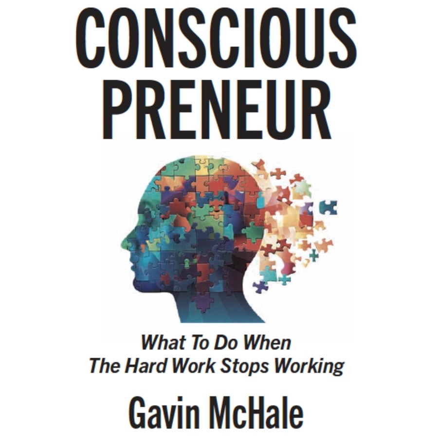 Consciouspreneur book cover by Gavin McHale